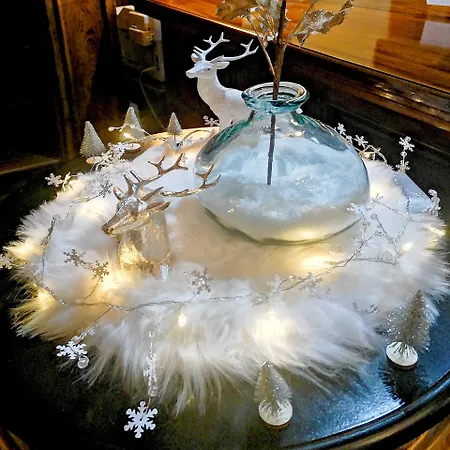 Pensionat Denkmal 13 - Kaufmannshaus Krahnstöver